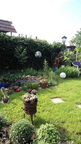 Zsiga Tünde kertje 02